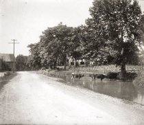 Farm scene after flood